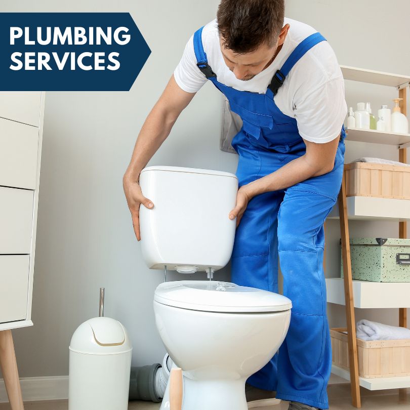 Plumbing Company in Newark, MD
